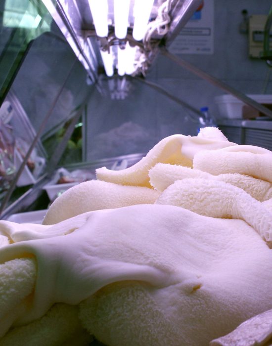 Ya Cocidos El Molinero